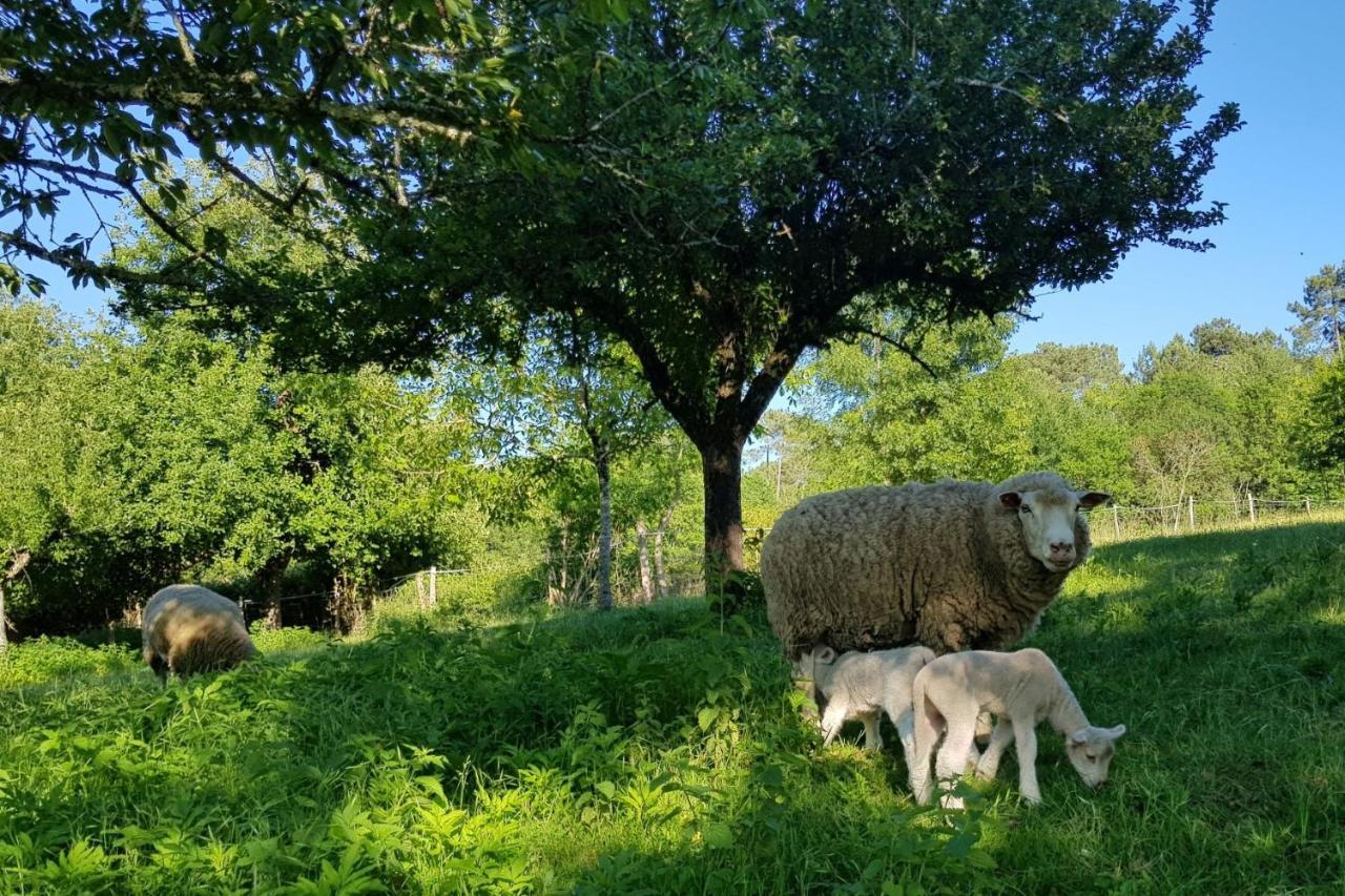 Romantic Mill Cottage 30 Min From Bergerac France Sourzac ภายนอก รูปภาพ