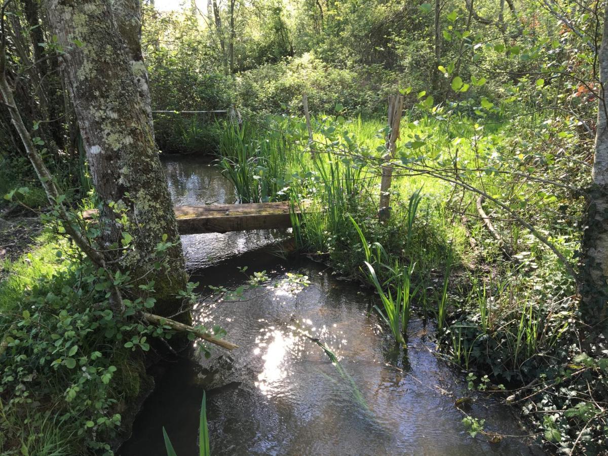 Romantic Mill Cottage 30 Min From Bergerac France Sourzac ภายนอก รูปภาพ